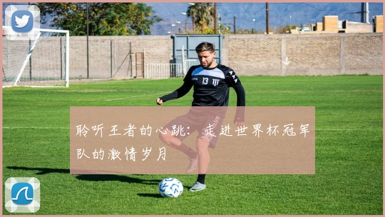 聆听王者的心跳：走进世界杯冠军队的激情岁月