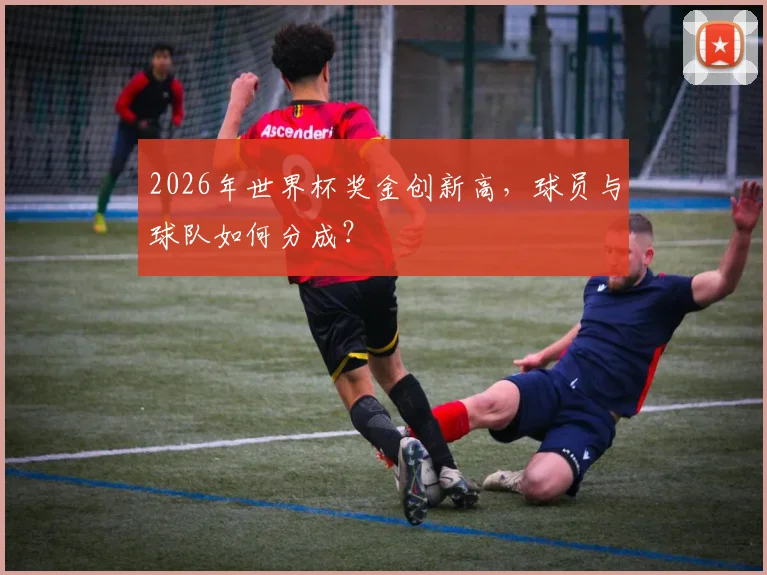 2026年世界杯奖金创新高，球员与球队如何分成？