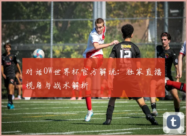 对话OW世界杯官方解说：独家直播视角与战术解析