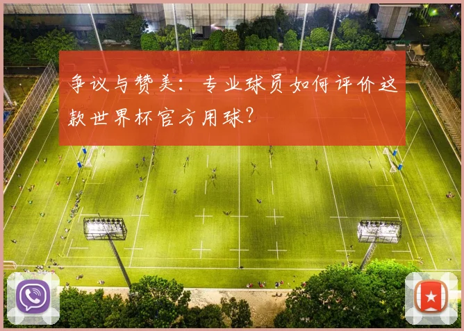 争议与赞美:专业球员如何评价这款世界杯官方用球?